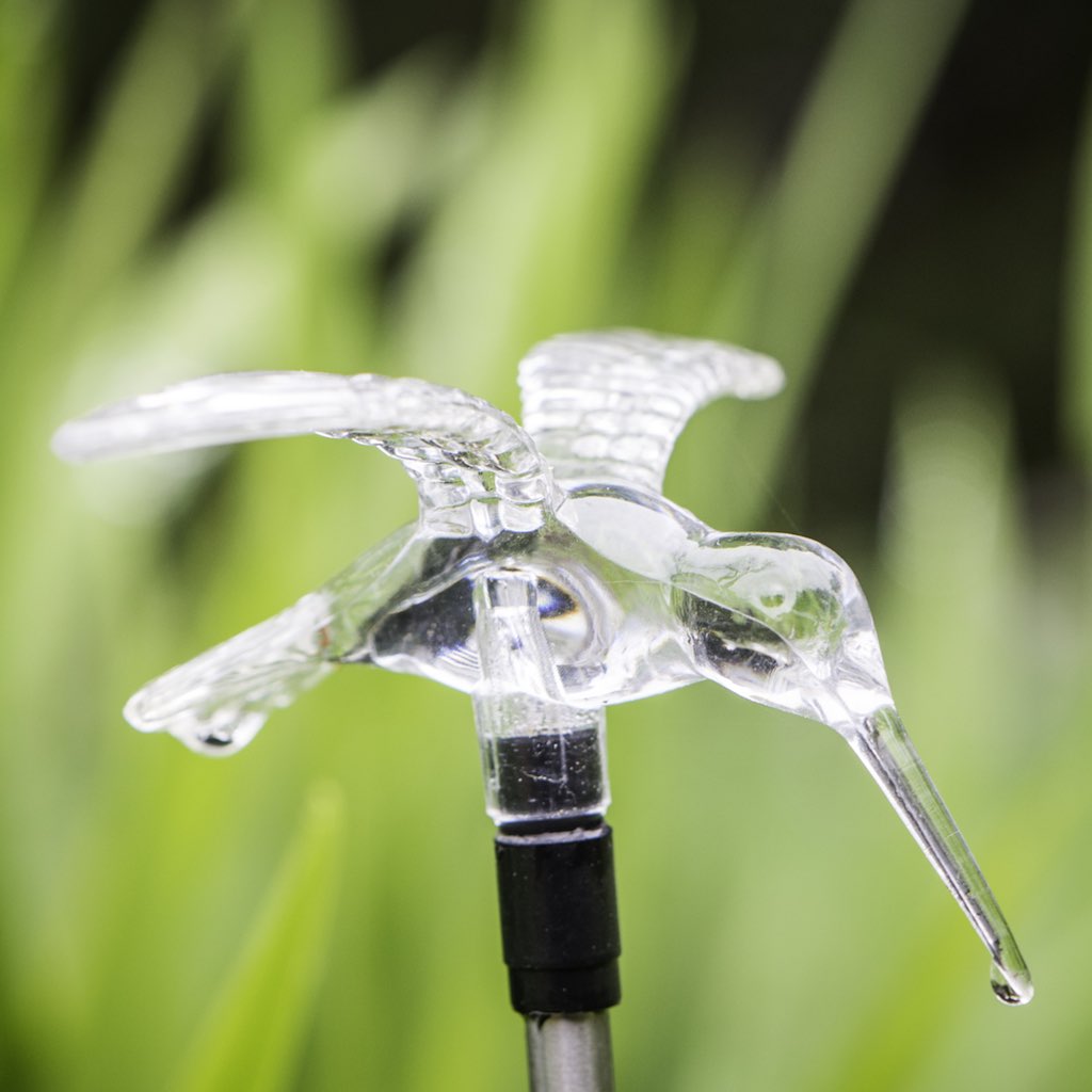 Glass Hummingbird In Garden Of Hummingbird Haven Of Mendocino